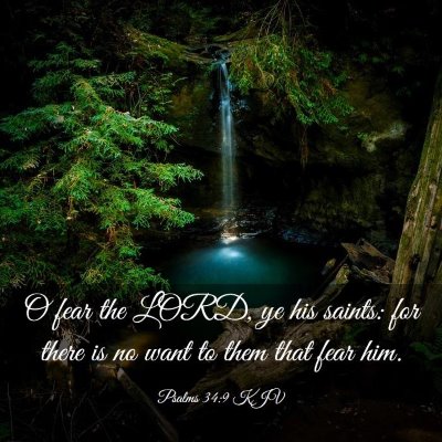 Picture 03 - Psalms 34:9 KJV - O fear the LORD, ye his saints: for there is no - Bible Verse Picture