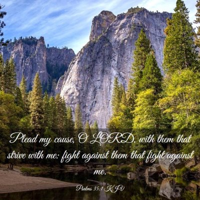Picture 03 - Psalms 35:1 KJV - Plead my cause, O LORD, with them that strive - Bible Verse Picture