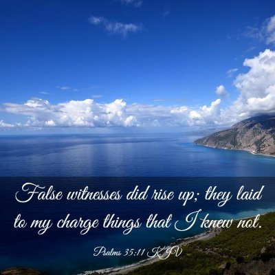 Picture 03 - Psalms 35:11 KJV - False witnesses did rise up; they laid to my - Bible Verse Picture