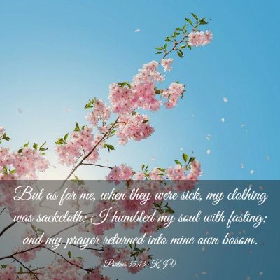 Picture 03 - Psalms 35:13 KJV - But as for me, when they were sick, my clothing - Bible Verse Picture