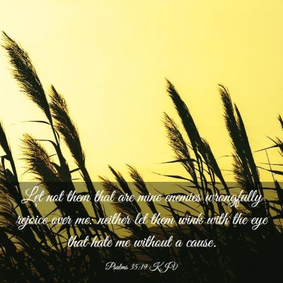 Picture 03 - Psalms 35:19 KJV - Let not them that are mine enemies wrongfully - Bible Verse Picture