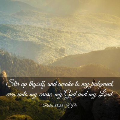 Picture 03 - Psalms 35:23 KJV - Stir up thyself, and awake to my judgment, even - Bible Verse Picture