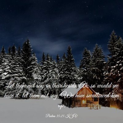 Picture 03 - Psalms 35:25 KJV - Let them not say in their hearts, Ah, so would we - Bible Verse Picture