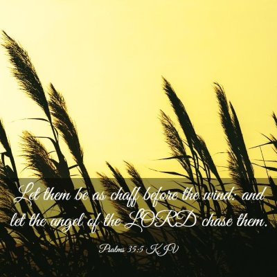 Picture 03 - Psalms 35:5 KJV - Let them be as chaff before the wind: and let the - Bible Verse Picture