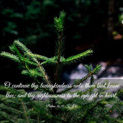 Picture 03 - Psalms 36:10 KJV - O continue thy lovingkindness unto them that know - Bible Verse Picture