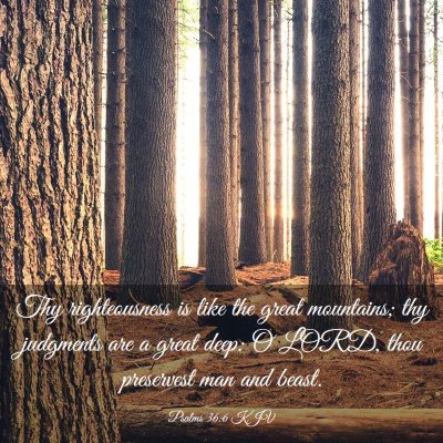Picture 03 - Psalms 36:6 KJV - Thy righteousness is like the great mountains; - Bible Verse Picture