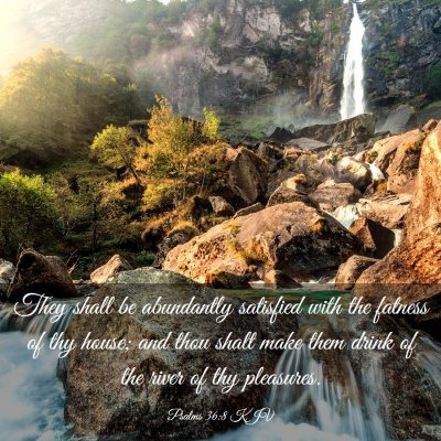 Picture 03 - Psalms 36:8 KJV - They shall be abundantly satisfied with the - Bible Verse Picture