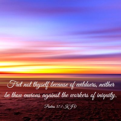 Picture 03 - Psalms 37:1 KJV - Fret not thyself because of evildoers, neither be - Bible Verse Picture