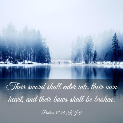 Picture 03 - Psalms 37:15 KJV - Their sword shall enter into their own heart, and - Bible Verse Picture