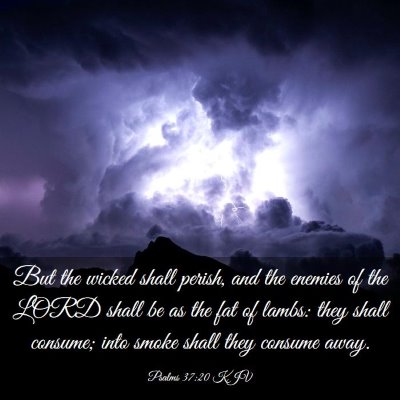 Picture 03 - Psalms 37:20 KJV - But the wicked shall perish, and the enemies of - Bible Verse Picture