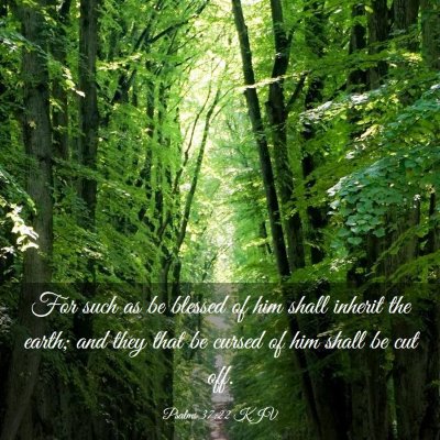 Picture 03 - Psalms 37:22 KJV - For such as be blessed of him shall inherit the - Bible Verse Picture