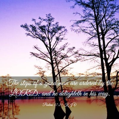 Picture 03 - Psalms 37:23 KJV - The steps of a good man are ordered by the LORD: - Bible Verse Picture