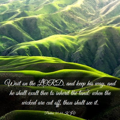 Picture 03 - Psalms 37:34 KJV - Wait on the LORD, and keep his way, and he shall - Bible Verse Picture