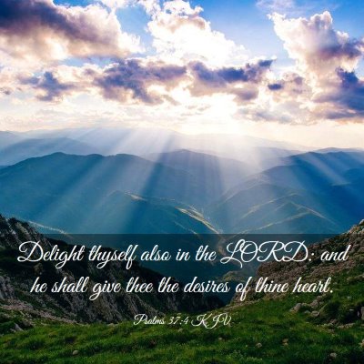 Picture 03 - Psalms 37:4 KJV - Delight thyself also in the LORD: and he shall - Bible Verse Picture