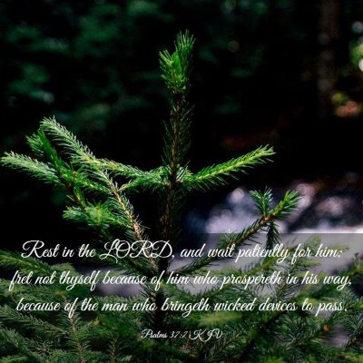 Picture 03 - Psalms 37:7 KJV - Rest in the LORD, and wait patiently for him: - Bible Verse Picture