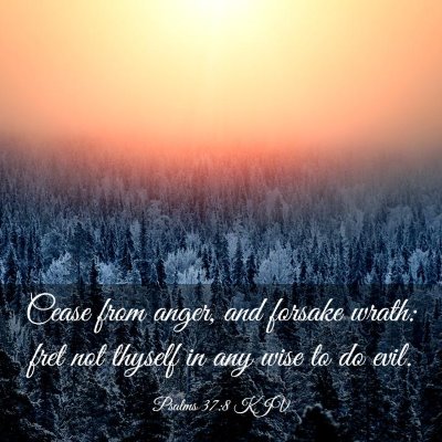 Picture 03 - Psalms 37:8 KJV - Cease from anger, and forsake wrath: fret not - Bible Verse Picture