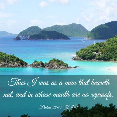 Picture 03 - Psalms 38:14 KJV - Thus I was as a man that heareth not, and in - Bible Verse Picture