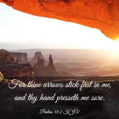 Picture 03 - Psalms 38:2 KJV - For thine arrows stick fast in me, and thy hand - Bible Verse Picture