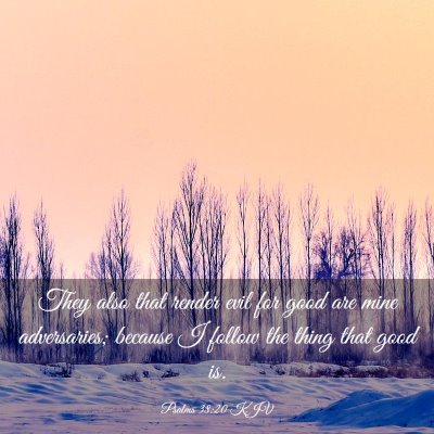 Picture 03 - Psalms 38:20 KJV - They also that render evil for good are mine - Bible Verse Picture