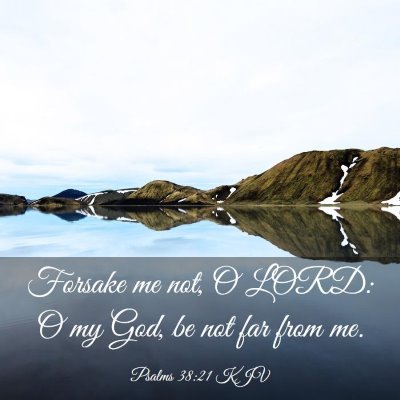 Picture 03 - Psalms 38:21 KJV - Forsake me not, O LORD: O my God, be not far from - Bible Verse Picture