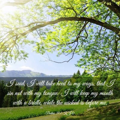 Picture 03 - Psalms 39:1 KJV - I said, I will take heed to my ways, that I sin - Bible Verse Picture