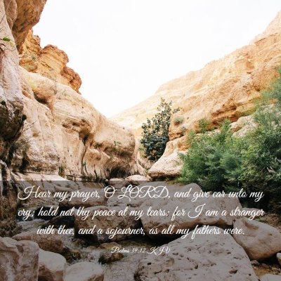 Picture 03 - Psalms 39:12 KJV - Hear my prayer, O LORD, and give ear unto my cry; - Bible Verse Picture