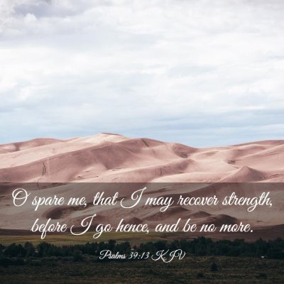 Picture 03 - Psalms 39:13 KJV - O spare me, that I may recover strength, before I - Bible Verse Picture