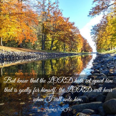 Picture 03 - Psalms 4:3 KJV - But know that the LORD hath set apart him that is - Bible Verse Picture
