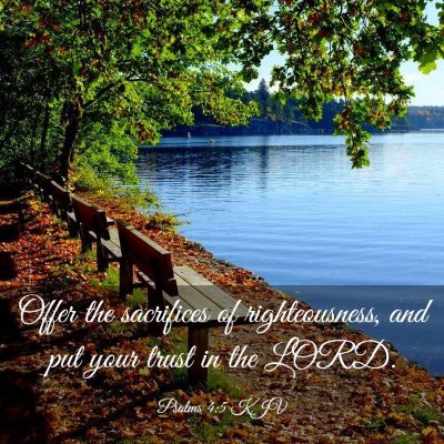 Picture 03 - Psalms 4:5 KJV - Offer the sacrifices of righteousness, and put - Bible Verse Picture