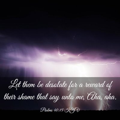 Picture 03 - Psalms 40:15 KJV - Let them be desolate for a reward of their shame - Bible Verse Picture