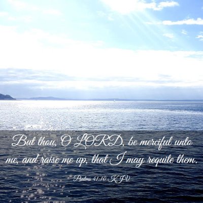 Picture 03 - Psalms 41:10 KJV - But thou, O LORD, be merciful unto me, and raise - Bible Verse Picture