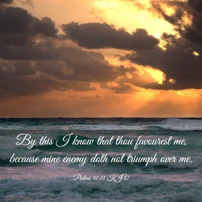 Picture 03 - Psalms 41:11 KJV - By this I know that thou favourest me, because - Bible Verse Picture