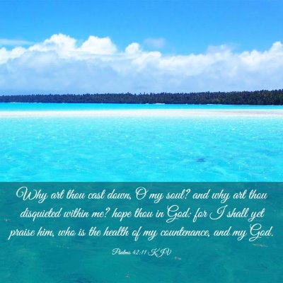 Picture 03 - Psalms 42:11 KJV - Why art thou cast down, O my soul? and why art - Bible Verse Picture