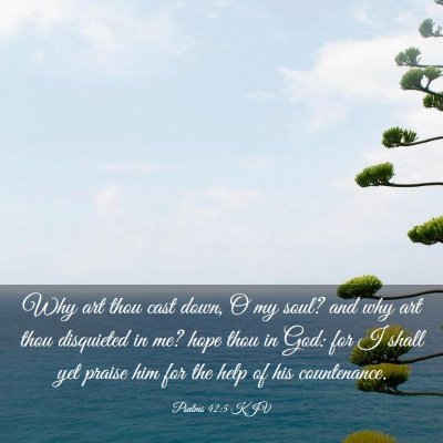 Picture 03 - Psalms 42:5 KJV - Why art thou cast down, O my soul? and why art - Bible Verse Picture