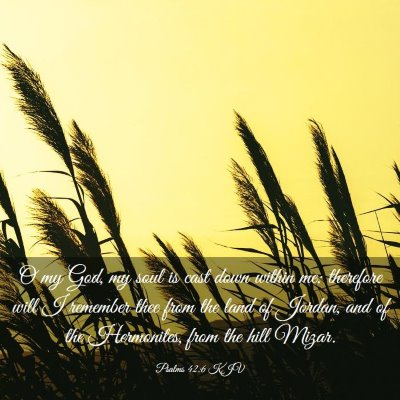 Picture 03 - Psalms 42:6 KJV - O my God, my soul is cast down within me: - Bible Verse Picture