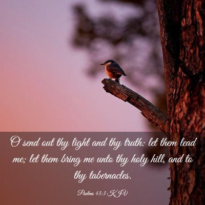 Picture 03 - Psalms 43:3 KJV - O send out thy light and thy truth: let them lead - Bible Verse Picture