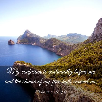 Picture 03 - Psalms 44:15 KJV - My confusion is continually before me, and the - Bible Verse Picture