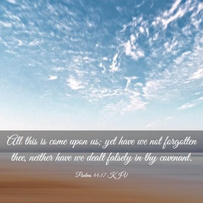 Picture 03 - Psalms 44:17 KJV - All this is come upon us; yet have we not - Bible Verse Picture