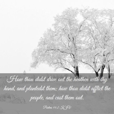 Picture 03 - Psalms 44:2 KJV - How thou didst drive out the heathen with thy - Bible Verse Picture