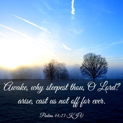 Picture 03 - Psalms 44:23 KJV - Awake, why sleepest thou, O Lord? arise, cast us - Bible Verse Picture