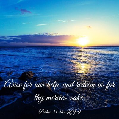Picture 03 - Psalms 44:26 KJV - Arise for our help, and redeem us for thy - Bible Verse Picture