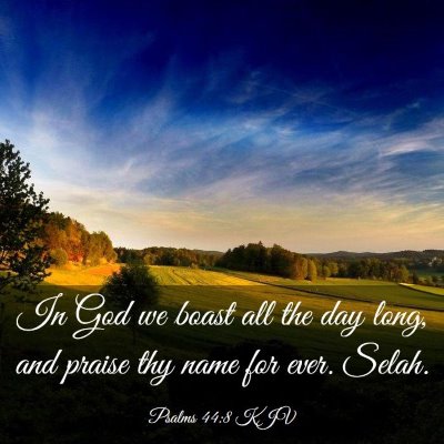 Picture 03 - Psalms 44:8 KJV - In God we boast all the day long, and praise thy - Bible Verse Picture