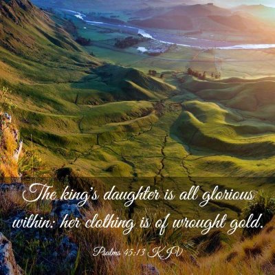 Picture 03 - Psalms 45:13 KJV - The king's daughter is all glorious within: her - Bible Verse Picture