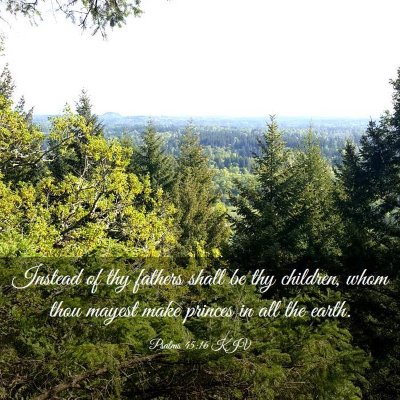 Picture 03 - Psalms 45:16 KJV - Instead of thy fathers shall be thy children, - Bible Verse Picture