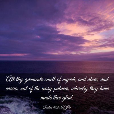Picture 03 - Psalms 45:8 KJV - All thy garments smell of myrrh, and aloes, and - Bible Verse Picture