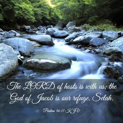 Picture 03 - Psalms 46:11 KJV - The LORD of hosts is with us; the God of Jacob is - Bible Verse Picture
