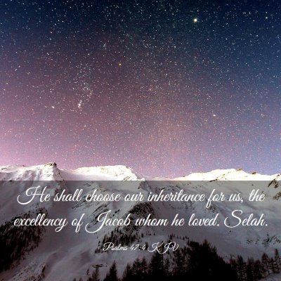 Picture 03 - Psalms 47:4 KJV - He shall choose our inheritance for us, the - Bible Verse Picture