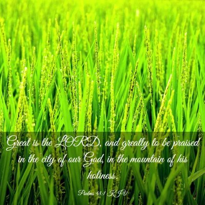 Picture 03 - Psalms 48:1 KJV - Great is the LORD, and greatly to be praised in - Bible Verse Picture
