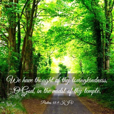 Picture 03 - Psalms 48:9 KJV - We have thought of thy lovingkindness, O God, in - Bible Verse Picture