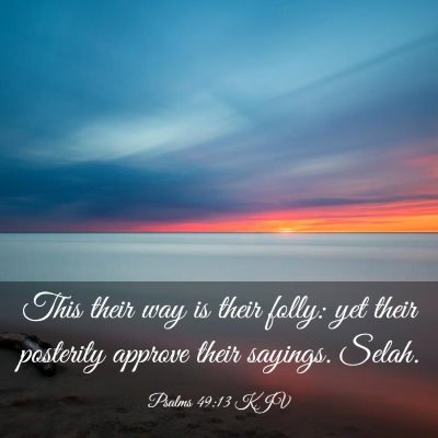 Picture 03 - Psalms 49:13 KJV - This their way is their folly: yet their - Bible Verse Picture